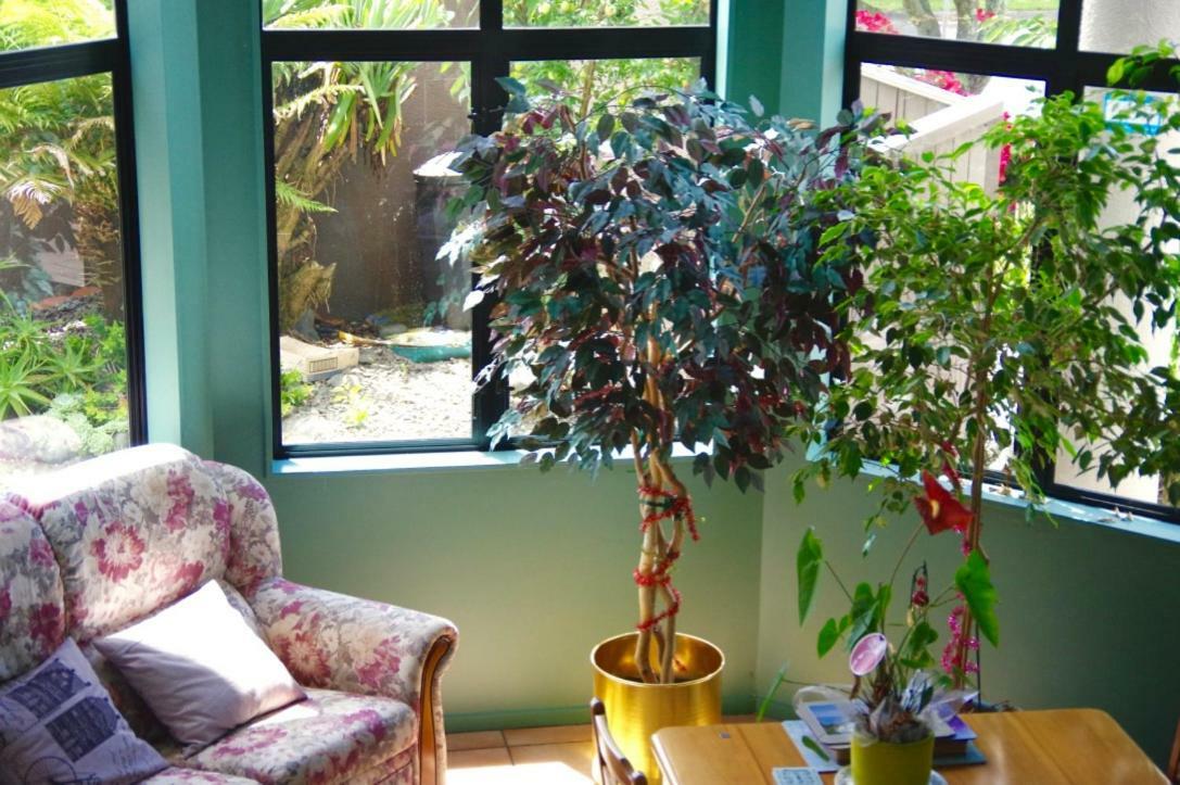 Hamilton East Homestay Kültér fotó